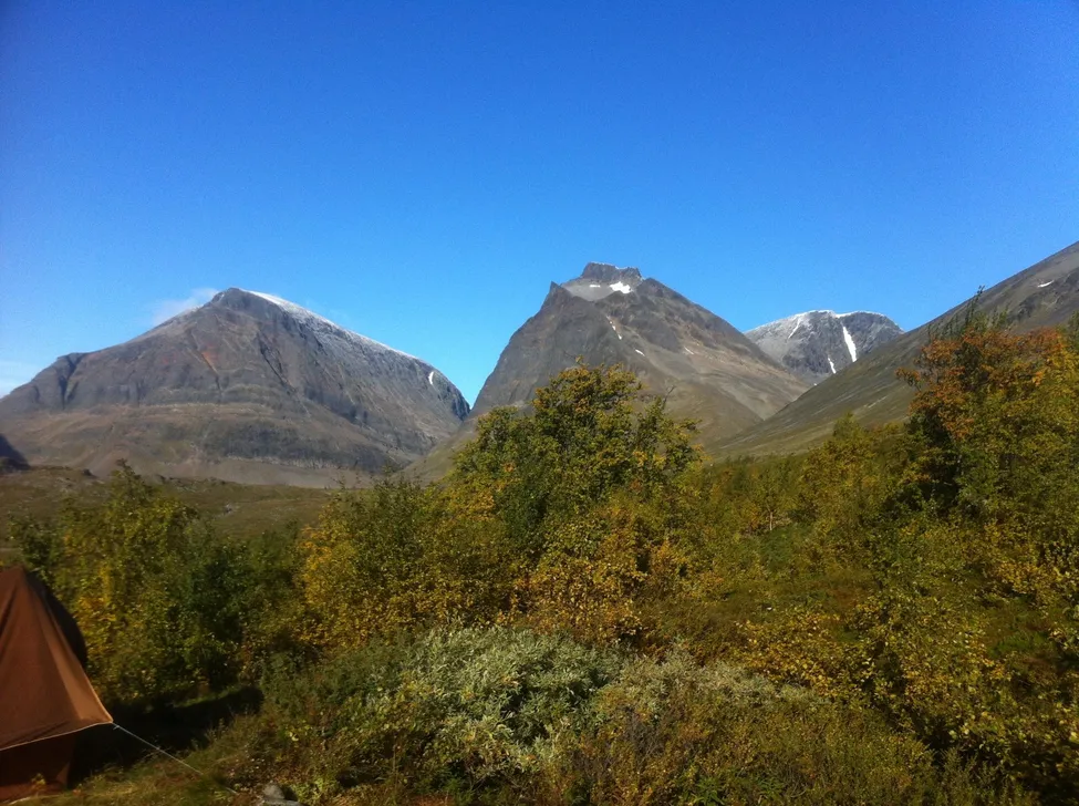 Klicka för att förstora