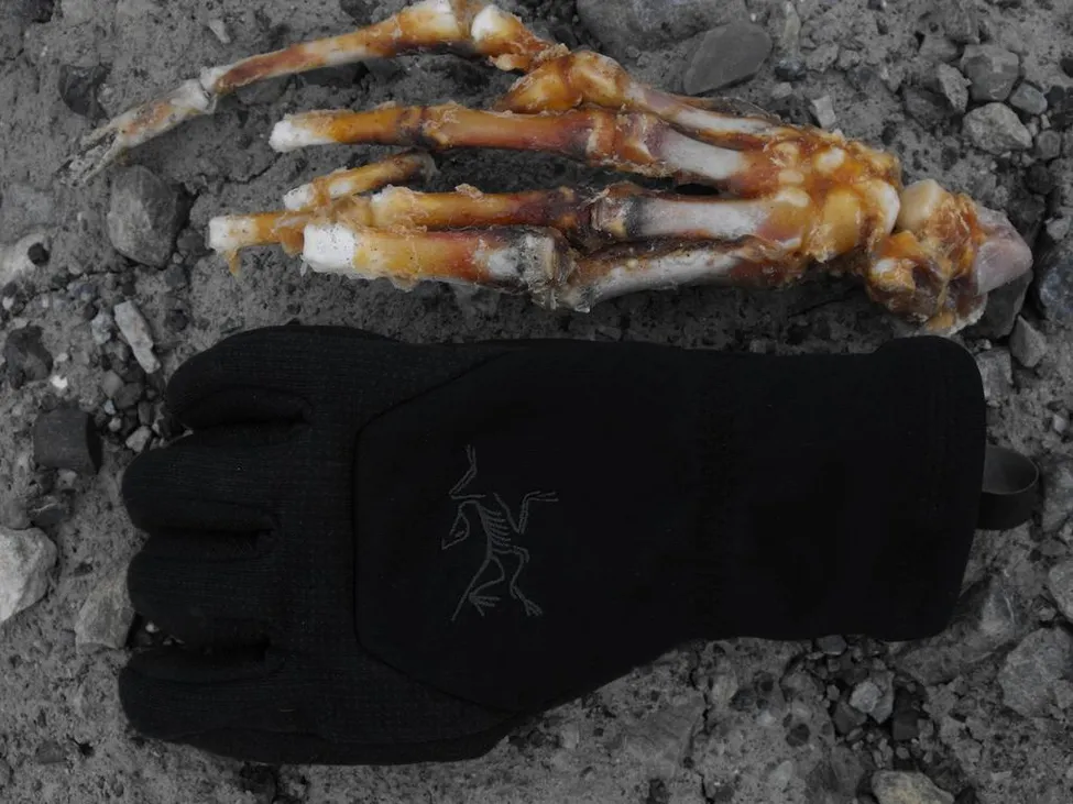 Klicka för att förstora