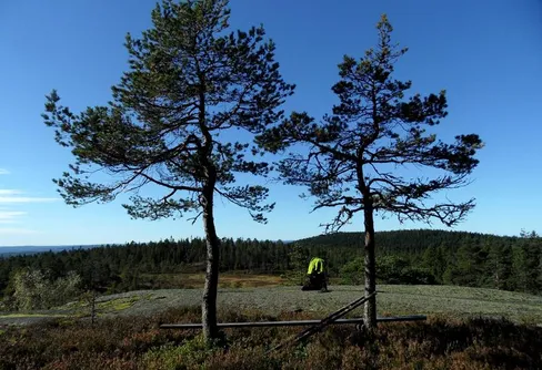 Bergslagsleden Etapp 3: Kindla - en okänd vildmark?