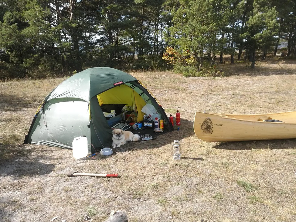 Klicka för att förstora