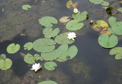 Ensamvandringspremiären avklarad!