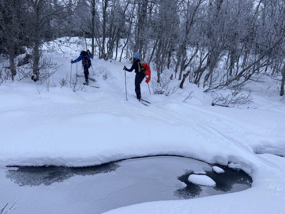 Klicka för att förstora