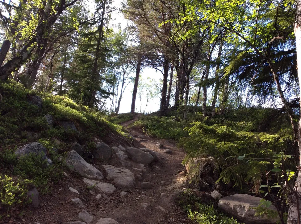 Klicka för att förstora