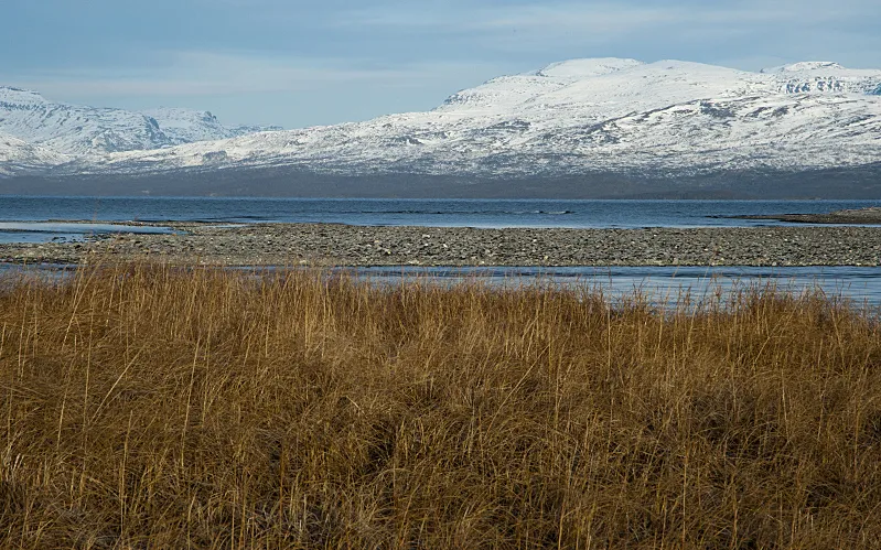 Klicka för att förstora