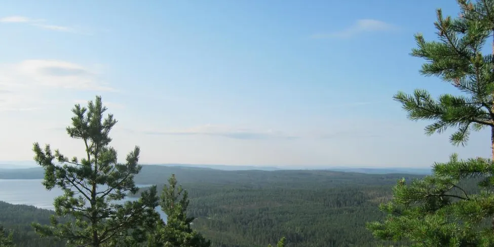 Klicka för att förstora