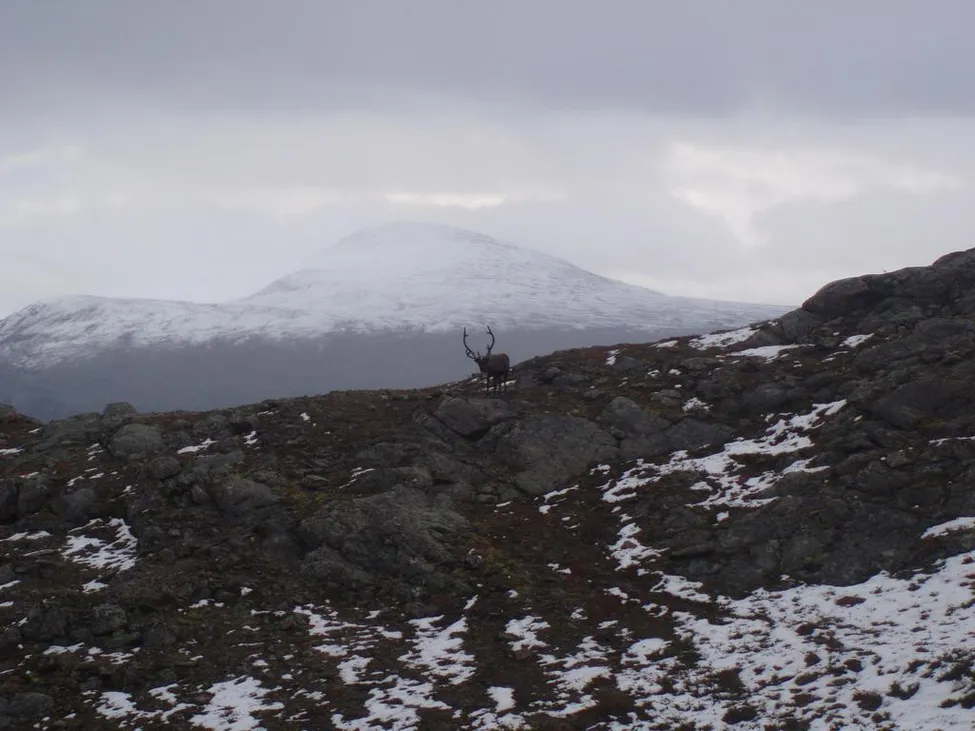 Klicka för att förstora
