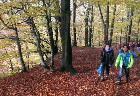 Skånska skolbarn har fått friluftsliv på schemat