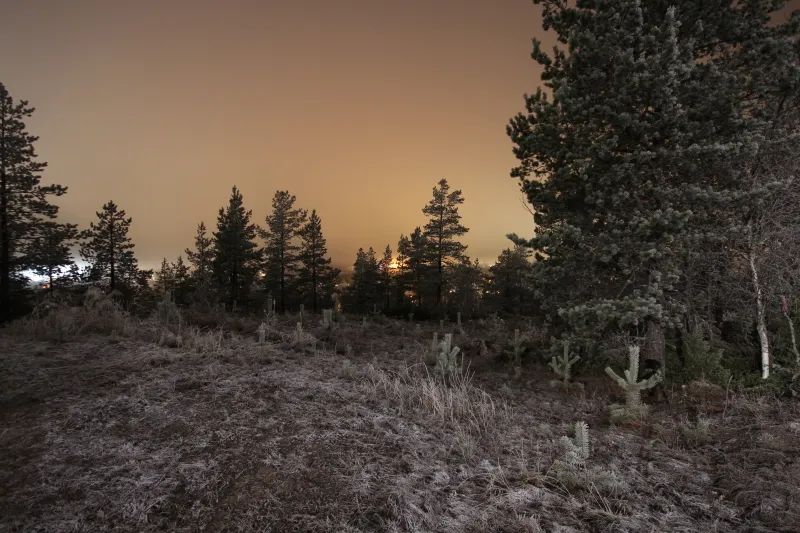 Klicka för att förstora