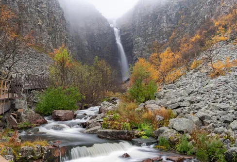 Fulufjället med fokus på Njupeskär
