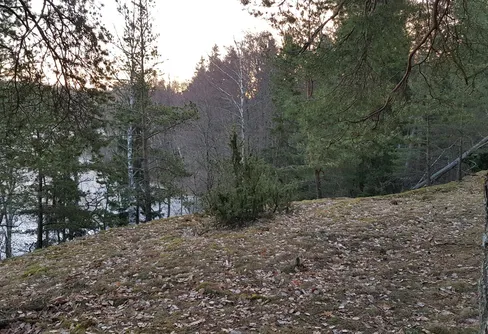Övernattning i Ekbacken, Rösjöskogens Naturreservat i hängmatta