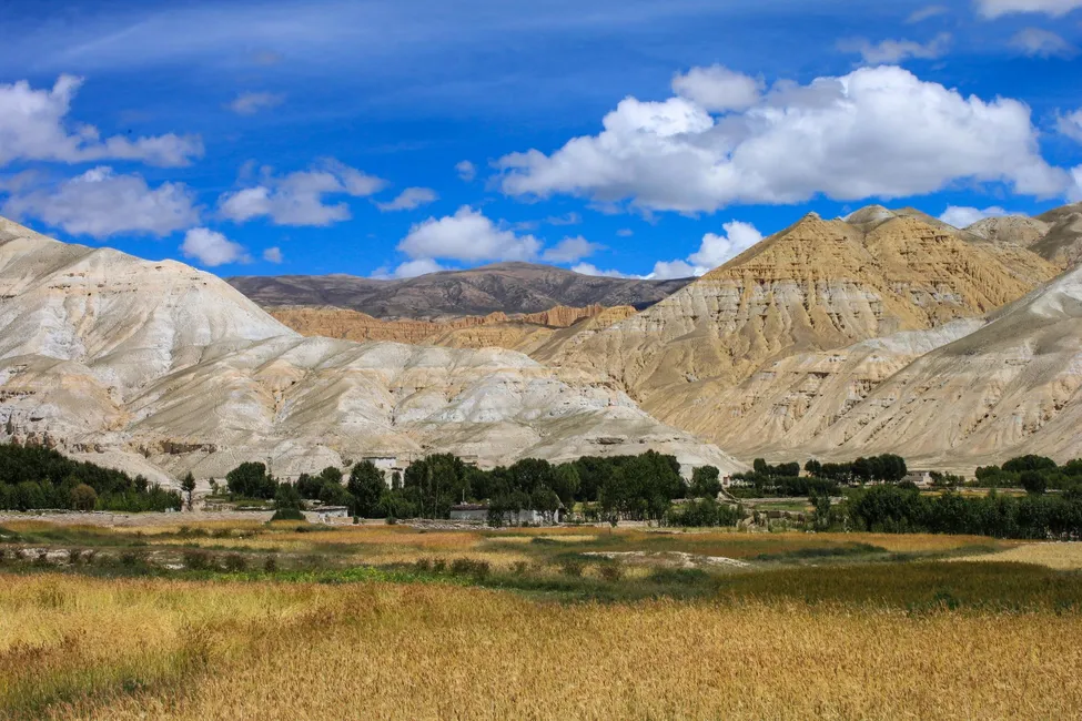 Klicka för att förstora