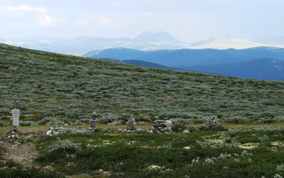 Klicka för att förstora