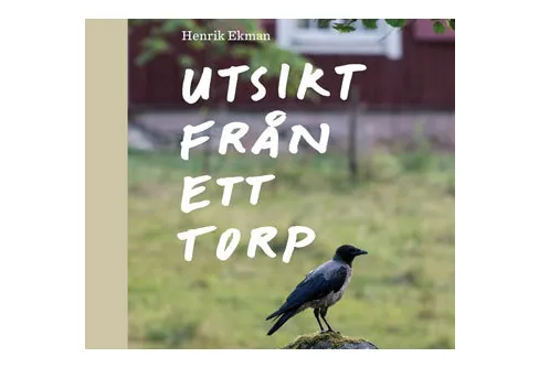 Utsikt från ett torp av