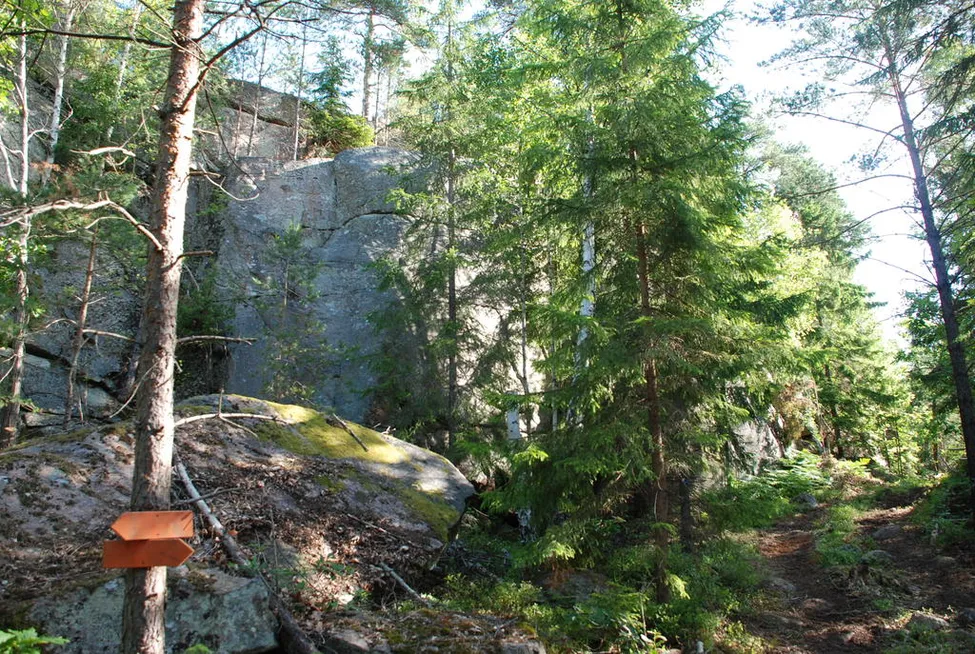 Klicka för att förstora