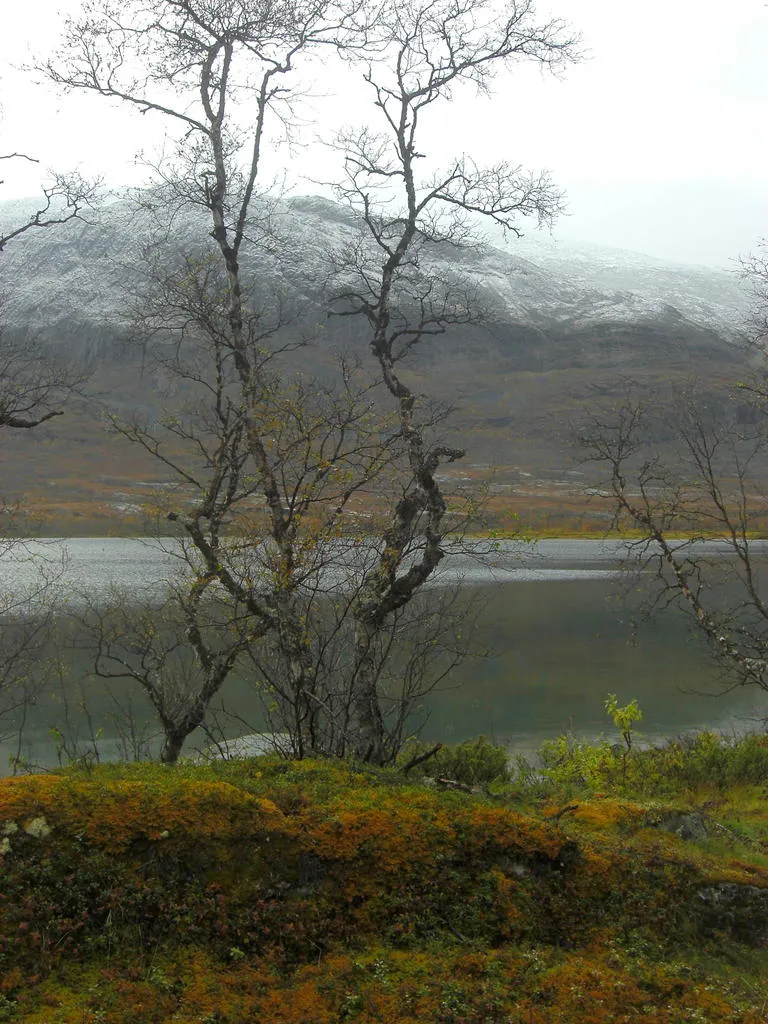 Klicka för att förstora