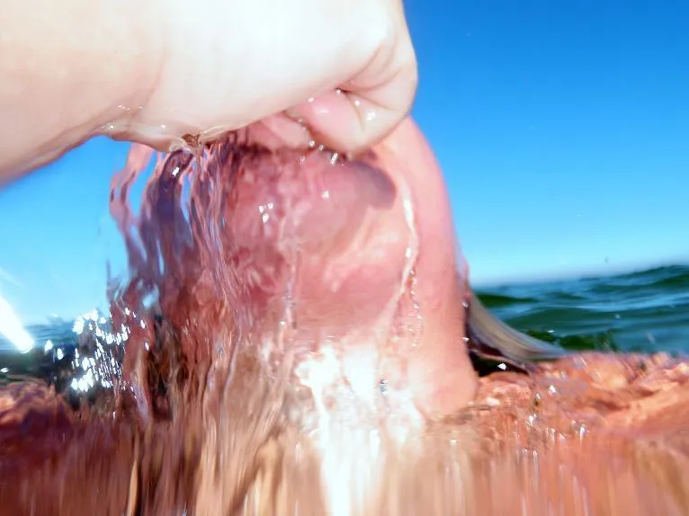 Klicka för att förstora