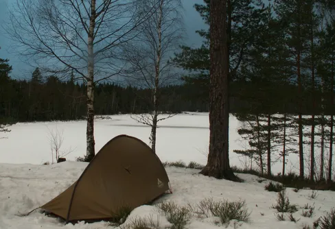 Your forest is great