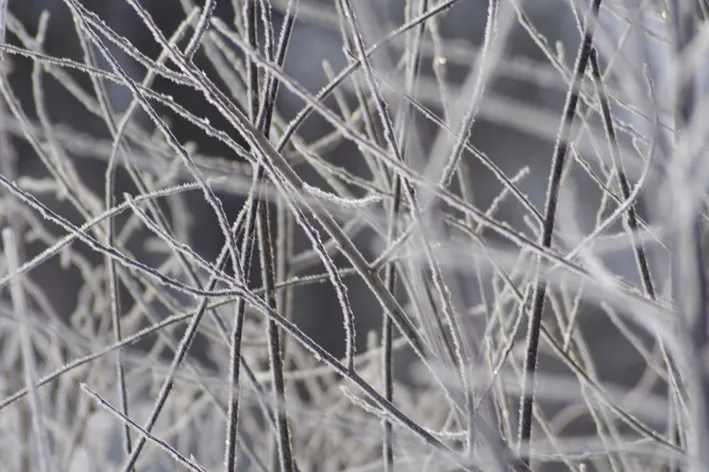 Klicka för att förstora