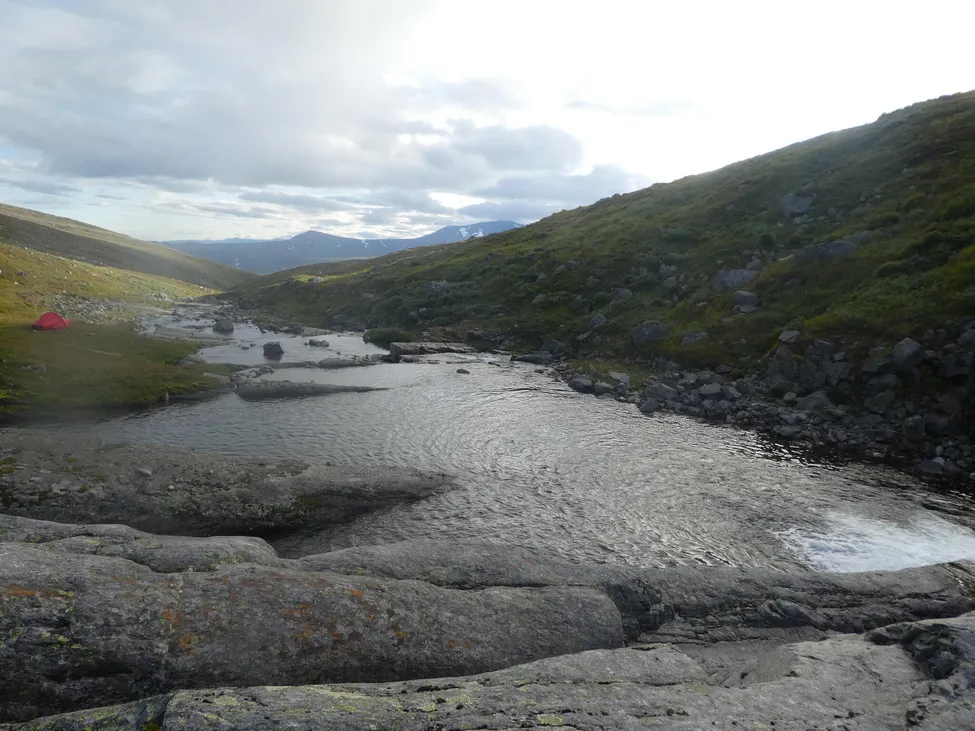 Klicka för att förstora