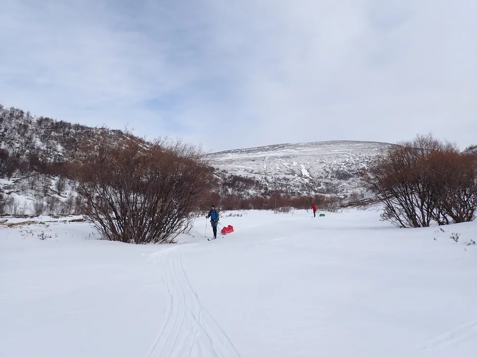 Klicka för att förstora