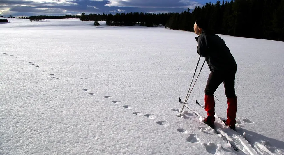 Klicka för att förstora