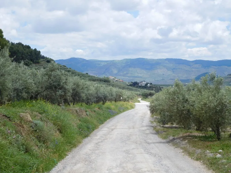 Klicka för att förstora