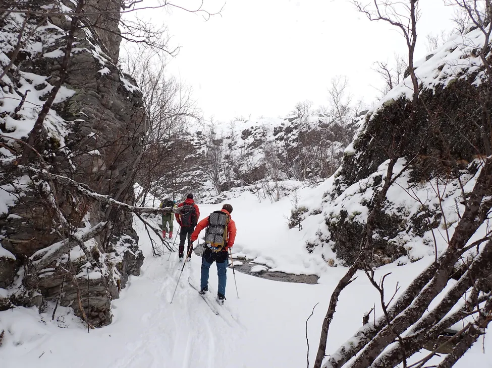 Klicka för att förstora