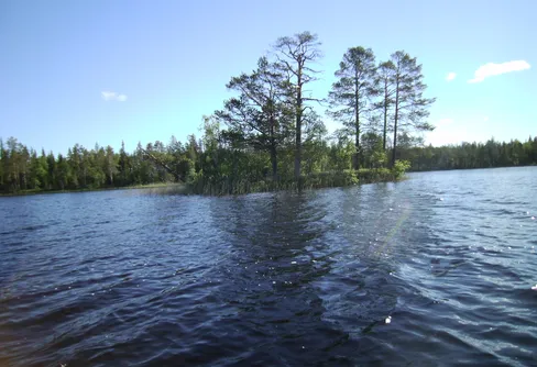 Fiske, fika och vila