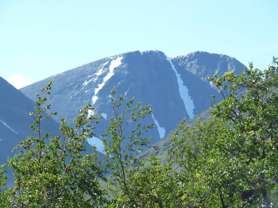 Klicka för att förstora