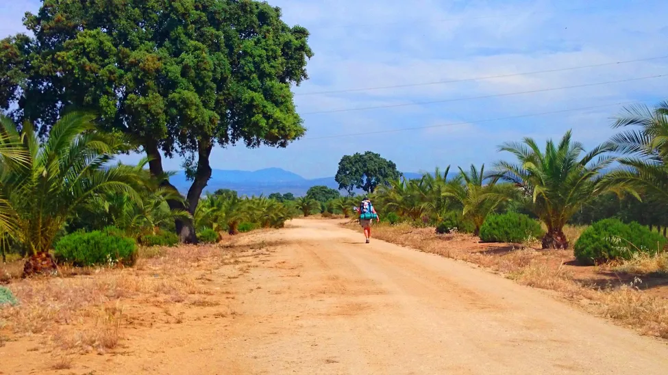 Klicka för att förstora