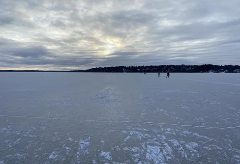 Skridskois bör helst avnjutas färsk. Ekoln och Gorran 260210