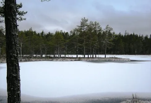 Nyårsfirande på Hökensås