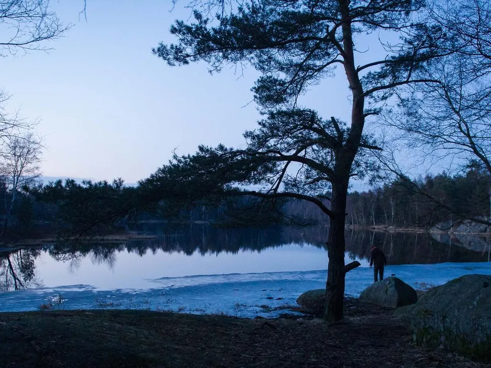 Klicka för att förstora