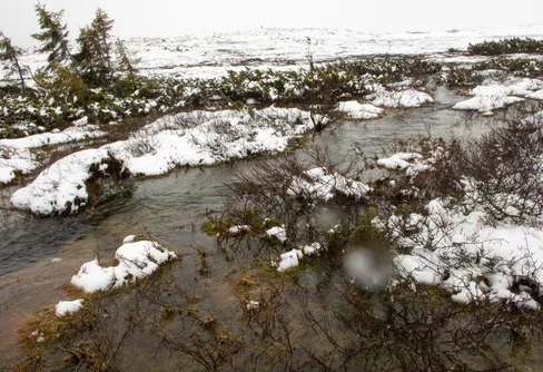 Oops!... I Did It Again: Fulufjället i vårflod