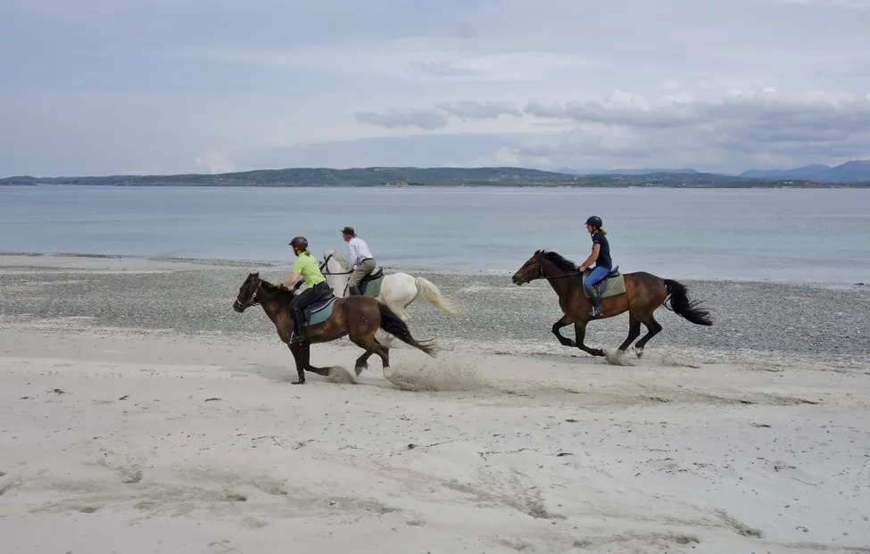 Klicka för att förstora