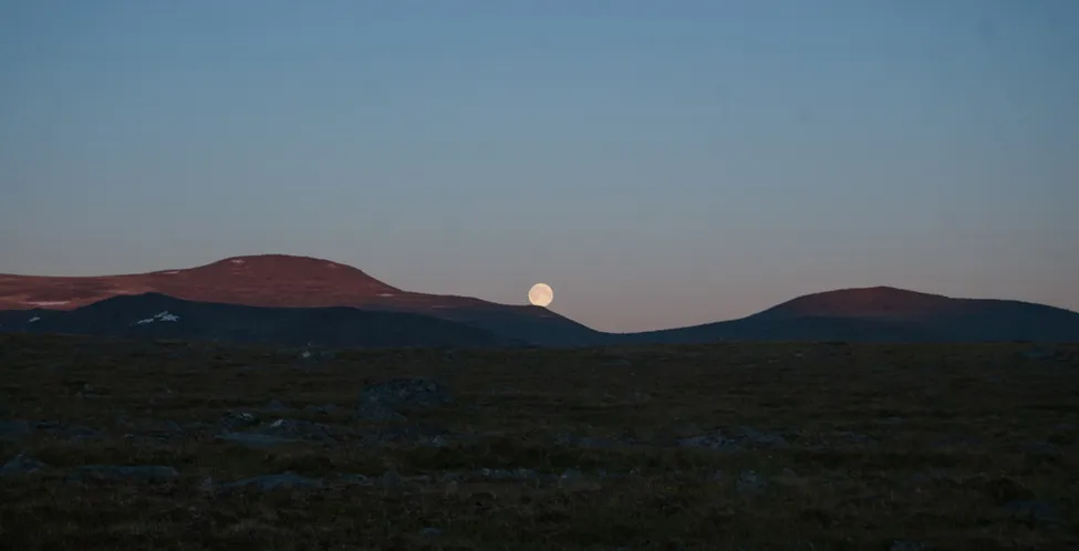 Klicka för att förstora