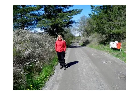 Varför får man inte vandra mellan L.Alby-Pilsbo på Upplansleden?