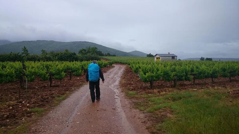 Klicka för att förstora