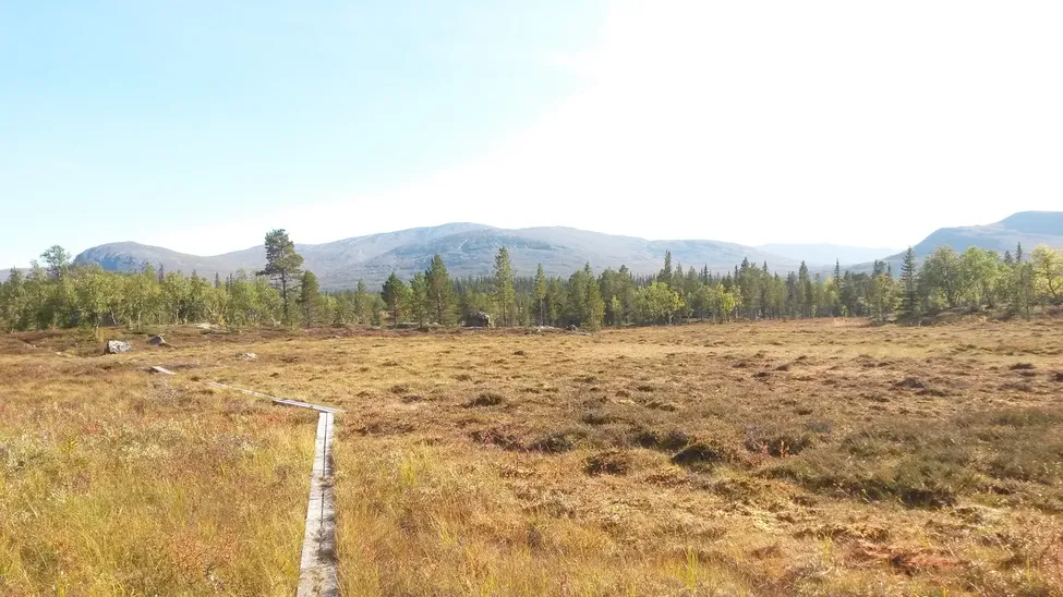 Klicka för att förstora