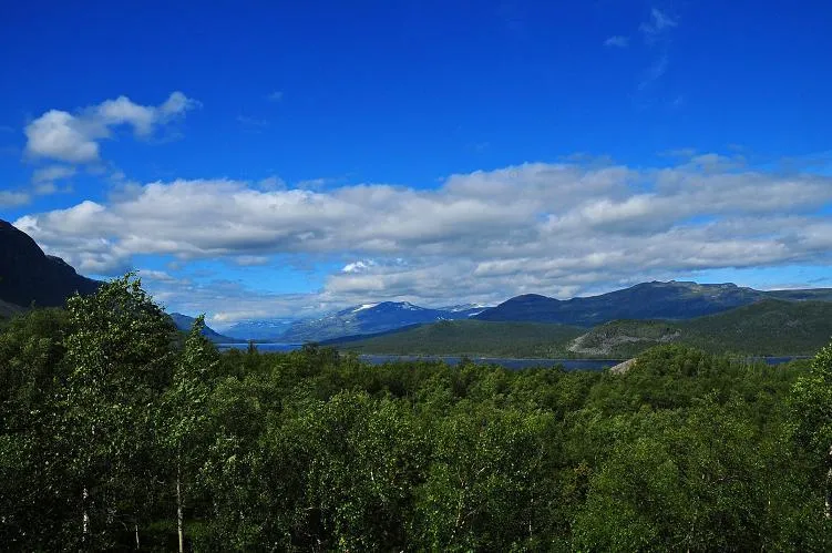 Klicka för att förstora