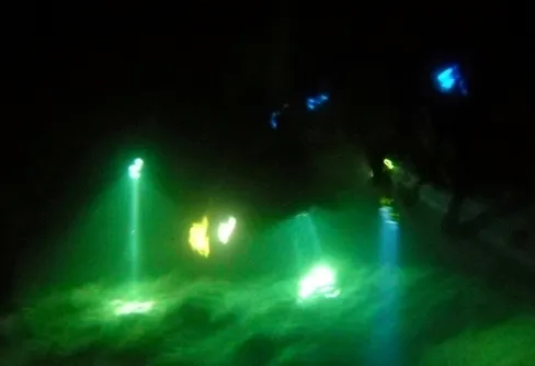 Gäster i det mörka tysta djupet