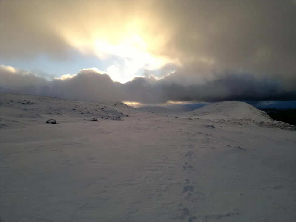 Klicka för att förstora
