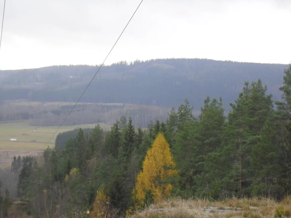 Klicka för att förstora
