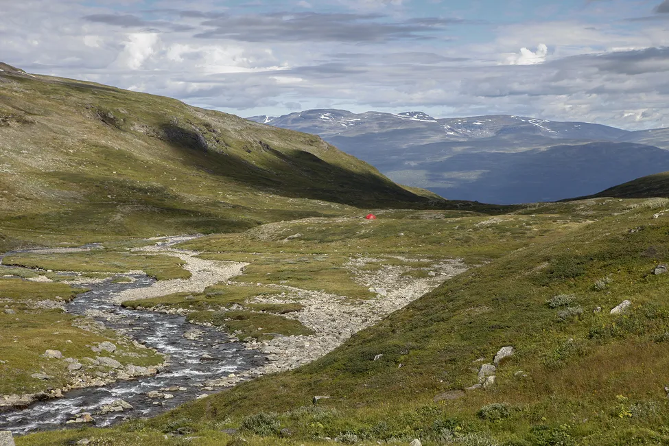 Klicka för att förstora