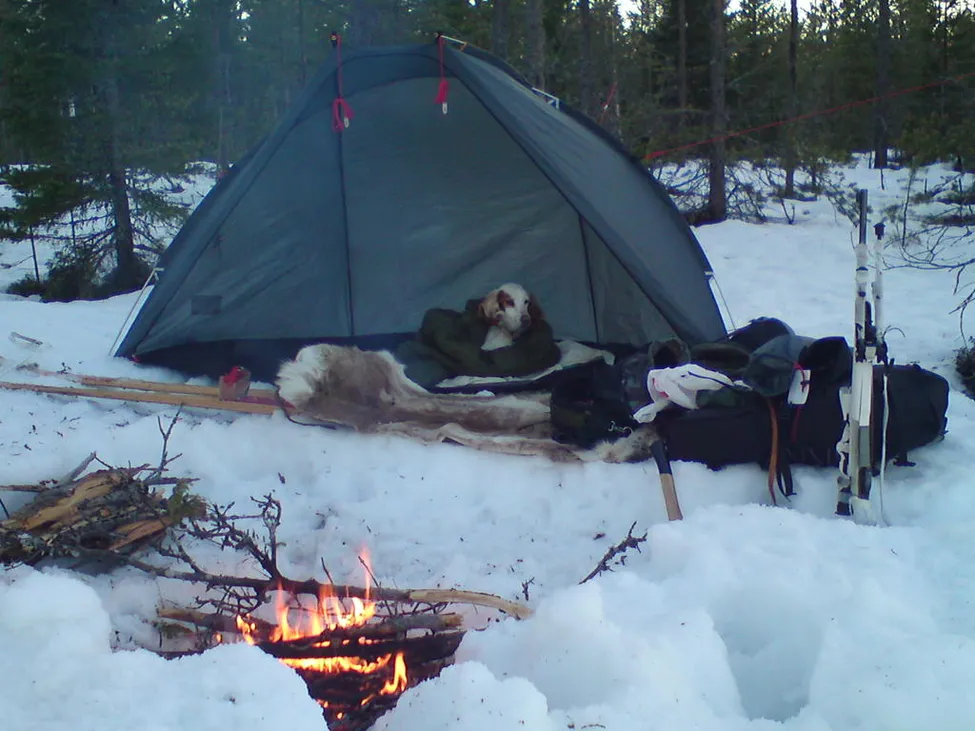 Klicka för att förstora