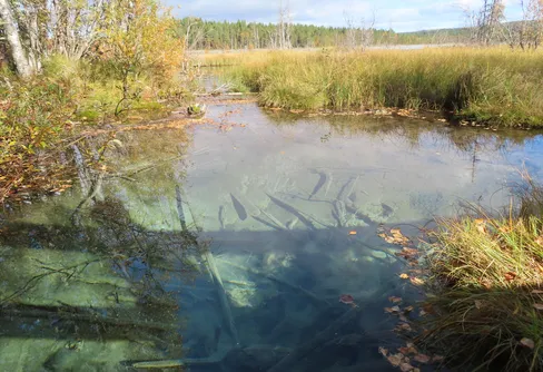 Runt norra Tysjön 240921