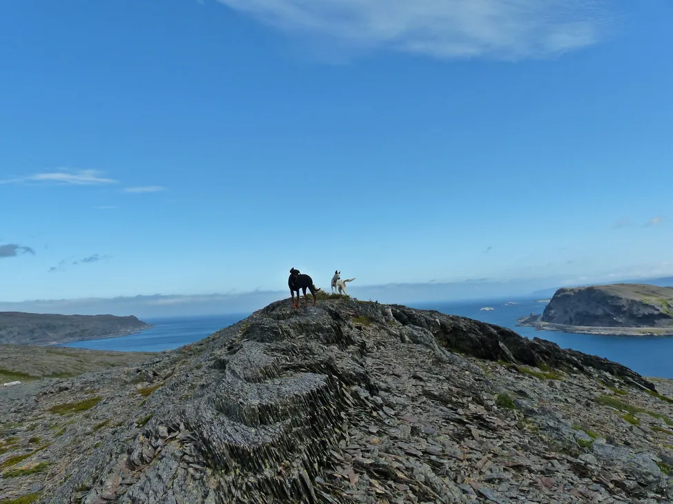Klicka för att förstora