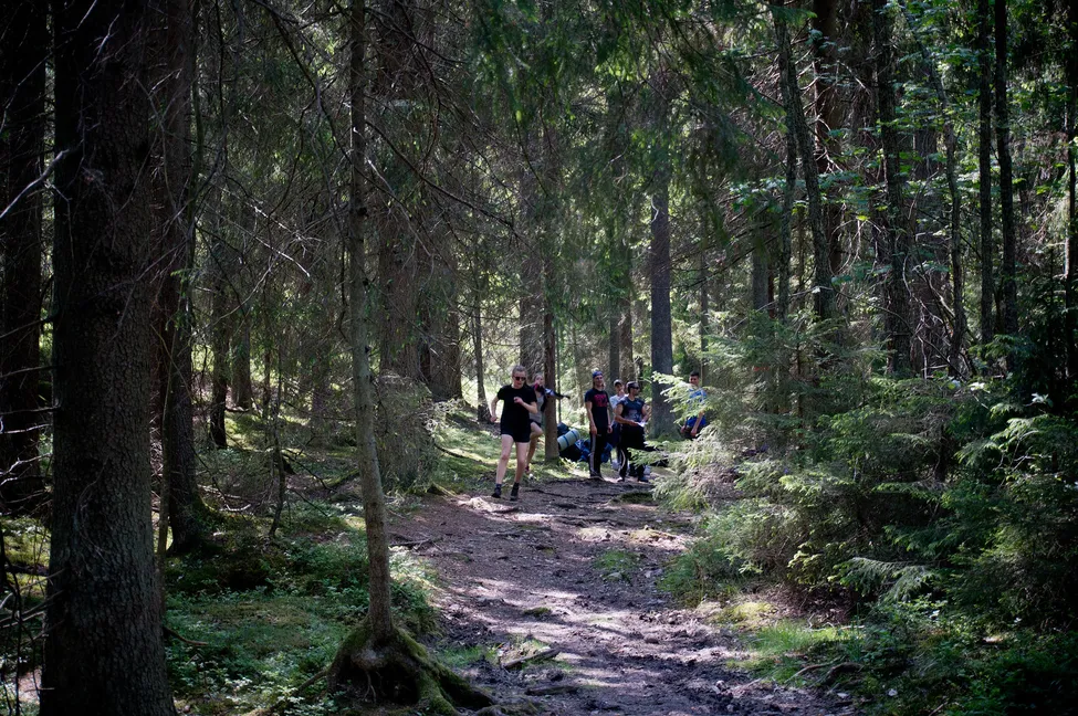 Klicka för att förstora