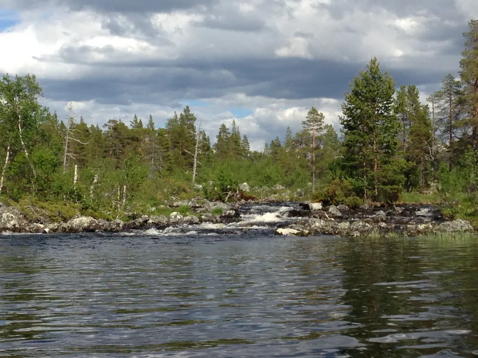 Klicka för att förstora