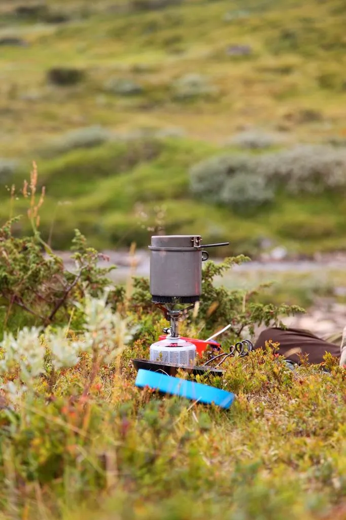 Klicka för att förstora